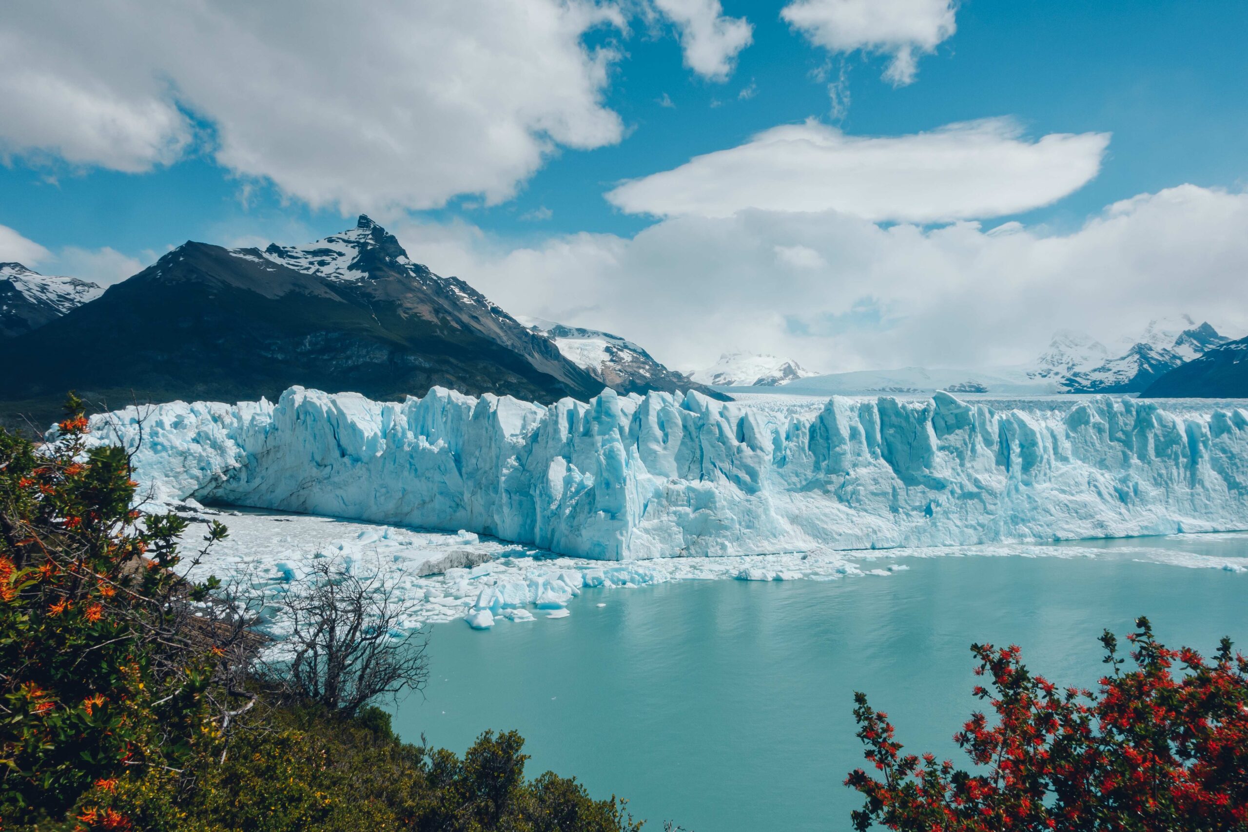 Donde Late el Sur - Argentina